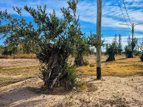 Terreno en Venta en Mayor Drummond, USD 23.000