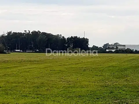 Camino de la Costa Brava 100