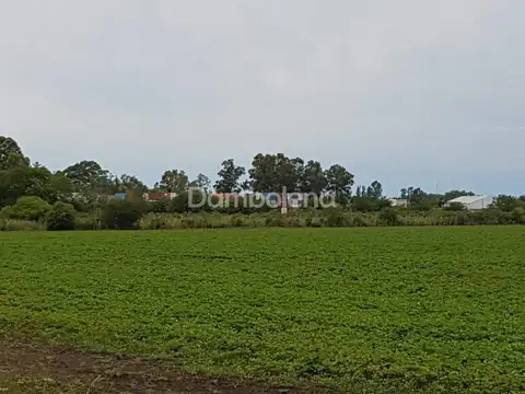 Terreno Fraccion  en Venta ubicado en Zárate, G.B.A. Zona Norte - DAM1315_LP431481_4
