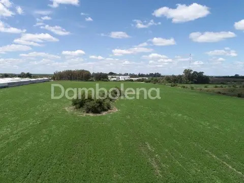 Camino de la Costa Brava 100