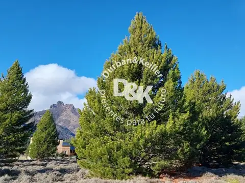 Lote en venta de 1000 m2 ubicado en Meliquina