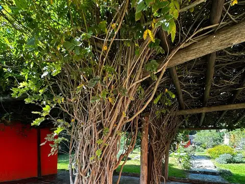 CORRIENTES E/ REMEDIOS DE ESCALADA Y AVENIDA SAN MARTÍN