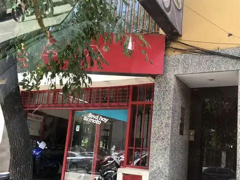 Humberto Primo al 100