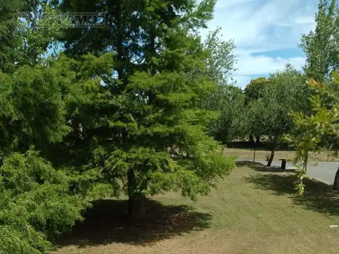 Terreno en Barrio Septiembre PG