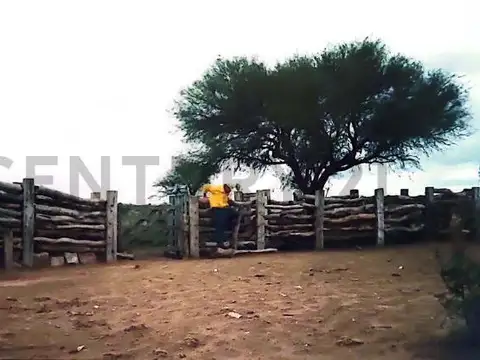 ruta provincial 3 100