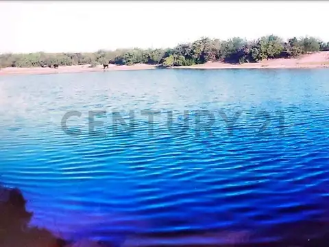 CAMPO GANADERO EN VENTA SAN LUIS, ZANJITAS