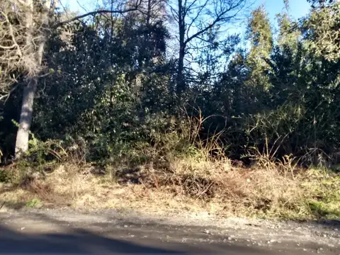 Rio Minero 100