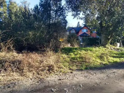 Rio Minero 124