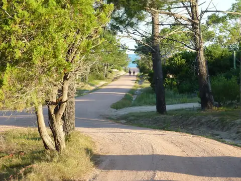 Terreno en Venta 15  mts Frente