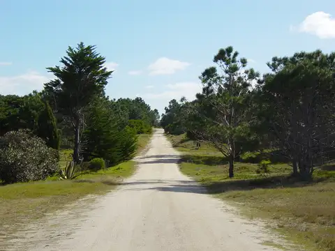 Venta Rocha Lote  Dunas Esmeralda Uruguay 525 M2