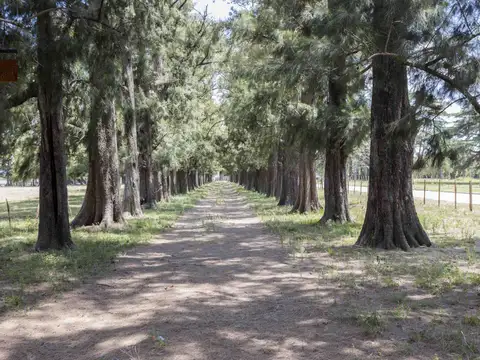 Lotes en Venta en Monte Grande - Esteban Echeverria