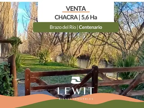 Venta chacra | Brazo de Río | 5.6 ha | Centenario | Neuquén