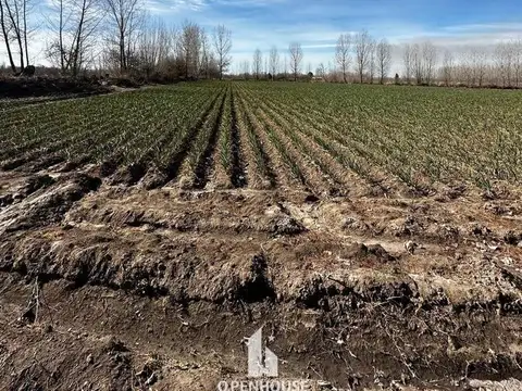 Terreno en Venta en Tunuyan, USD 100.000