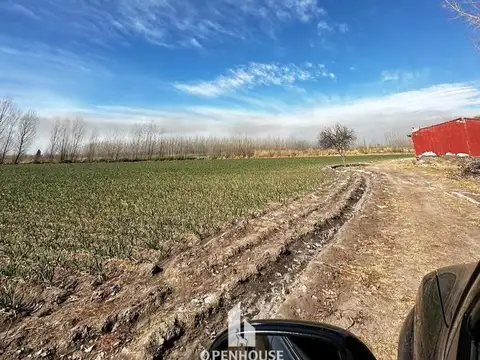 Terreno en Venta en Tunuyan, USD 100.000