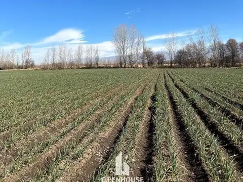 Terreno en Venta de 75000,0 m2