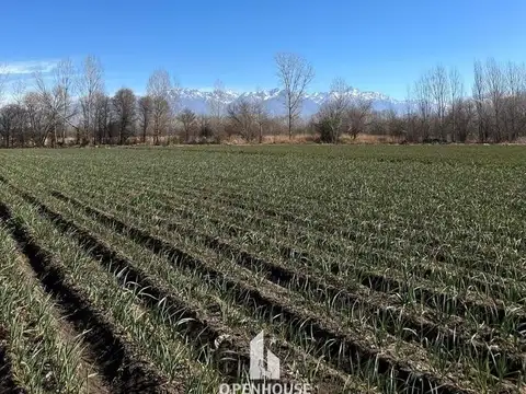 OPENHOUSE VENDE excelente terreno en Tunuyán