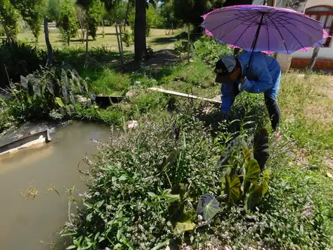 Ruta Provincial Nº 8