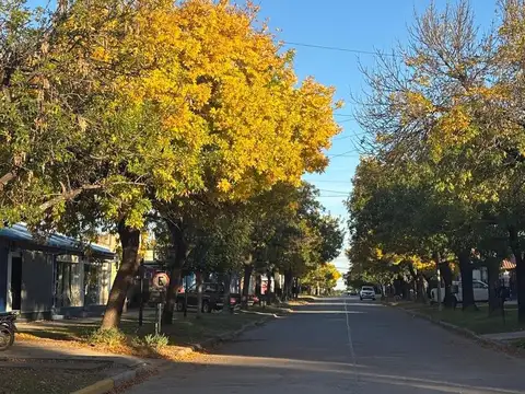 Terreno en Venta 10  mts Frente
