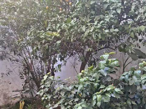 Departamento en Venta de 7 ambientes