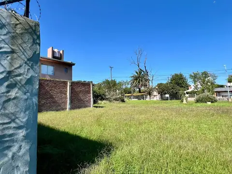 Florisbelo Acosta 6900