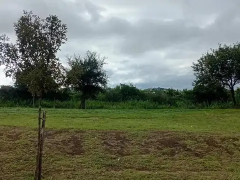 Terreno en Venta de 350,0 m2