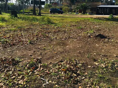 Terreno en Venta 40  mts Fondo