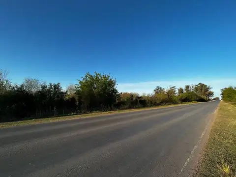 12 de octubre