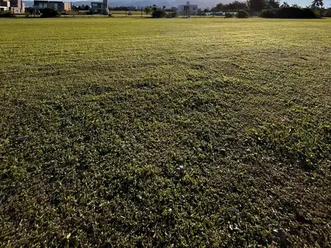 Avenida Constitución 2400
