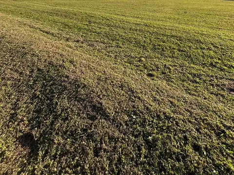 Venta lote exclusivo en La Cité, Tafi Viejo.