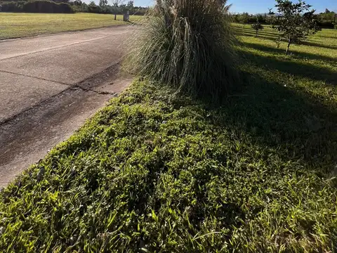 Terreno en Venta de 1040,0 m2