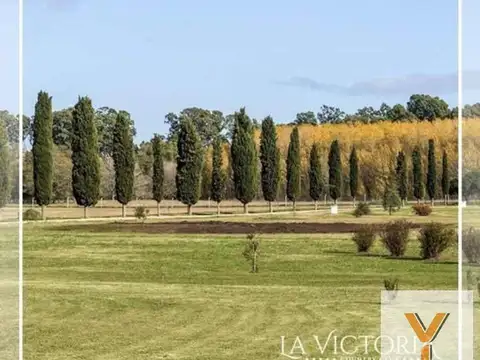 La Victoria