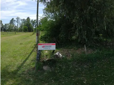 Los Paraísos Y Los Álamos