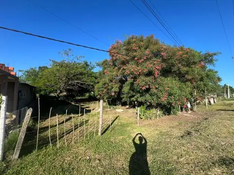 Avenida Martina 1000