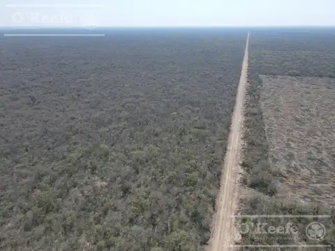 Campo en venta 4100 has.Santiago del Estero.Apto Bonos Verde