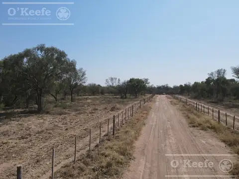 Campo en venta 4100 has.Santiago del Estero.Apto Bonos Verde