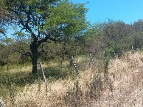 Campo en Venta Chacra