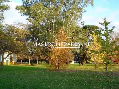 Terreno en Venta 40  mts Frente