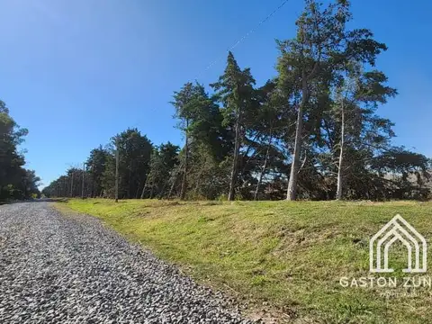 631 Y 638 Chacras Altamira