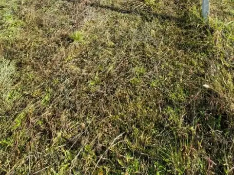 Terreno en Venta 46  mts Fondo