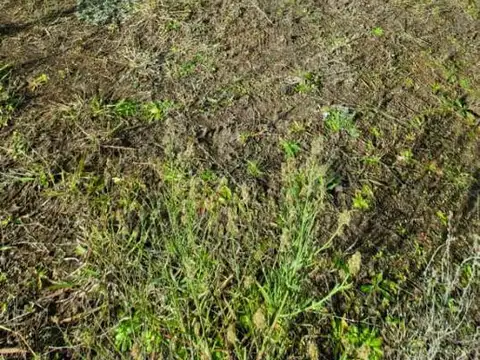 Terreno en VENTA Barrio El Lazo