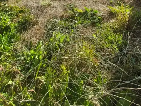 Terreno en Venta de 1500,0 m2