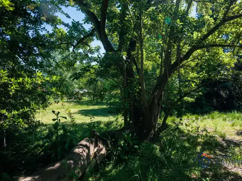 Terreno en venta en Martindale C.C. lote de 1100m2