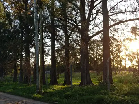 Terreno en Venta 30  mts Fondo