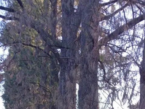 Terreno en Venta en Virrey Del Pino, USD 15.000