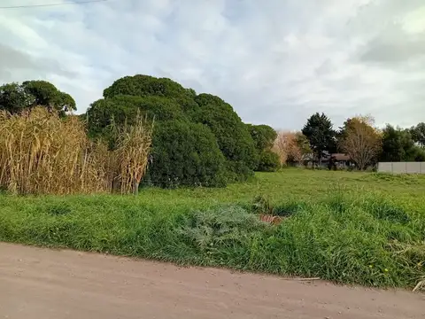 Terreno en Venta de 943,0 m2