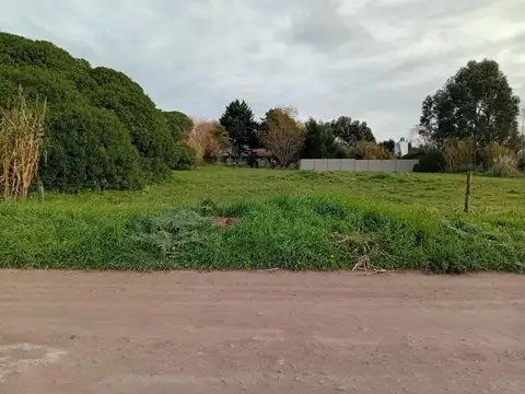 Calle 815 e/calle 16 y 18