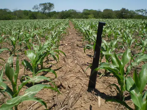 Oportunidad - Campo en Venta en Rosario de La Frontera