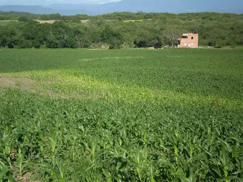 Rosario de La Frontera