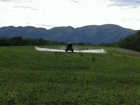 Oportunidad - Campo en Venta en Rosario de La Frontera