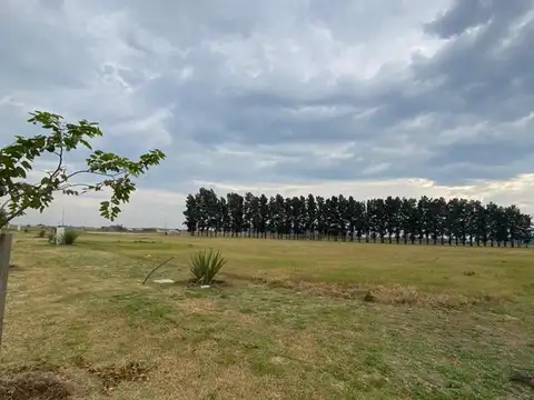 Terreno en Venta en General Lagos, USD 25.000